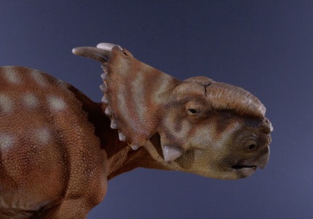 Pachyrhinosaurus canadensis lifedinosaur alfonso jaraiz