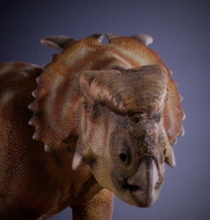 Pachyrhinosaurus lifedinosaur alfonso jaraiz